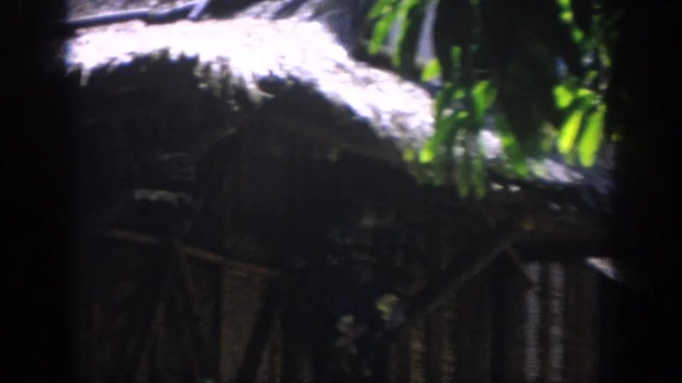 Soft 1962 Anaheim home-movie frame showing a thatched roof form and surrounding foliage in a dark jungle-themed setting.