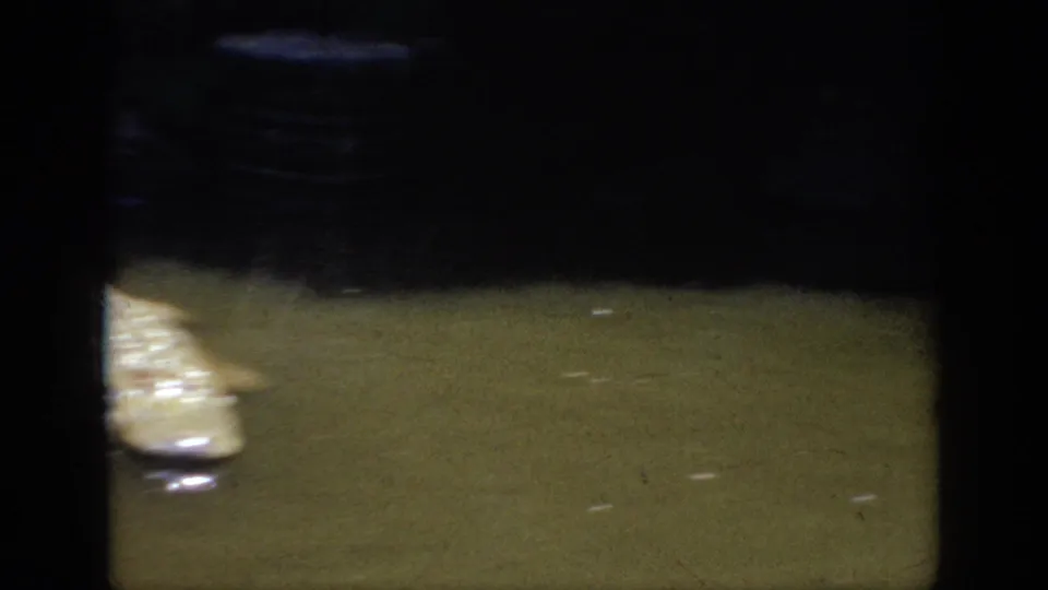 1962 Anaheim 8mm frame with a partial crocodile form crossing murky water, surrounded by heavy shadows and faint ripples.