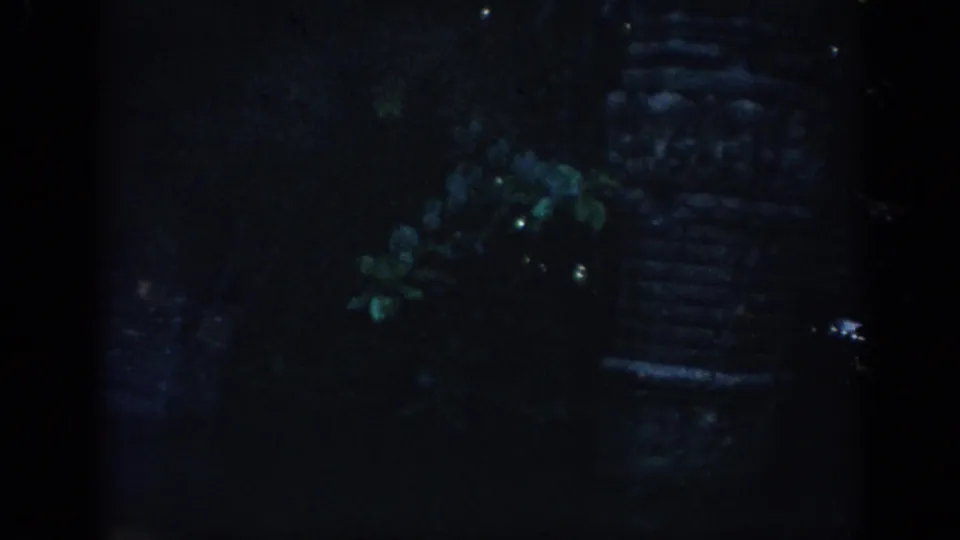 1962 Anaheim 8mm frame showing shadowed planted scenery and a vertical stone or carved structure in a themed jungle setting.