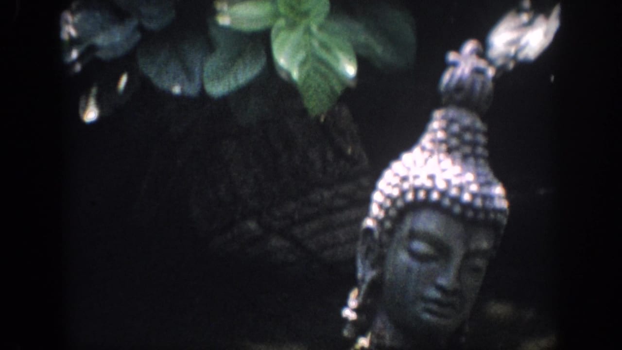 1962 Anaheim home-movie frame showing a Buddha-style statue head partly framed by leaves and deep shadow.