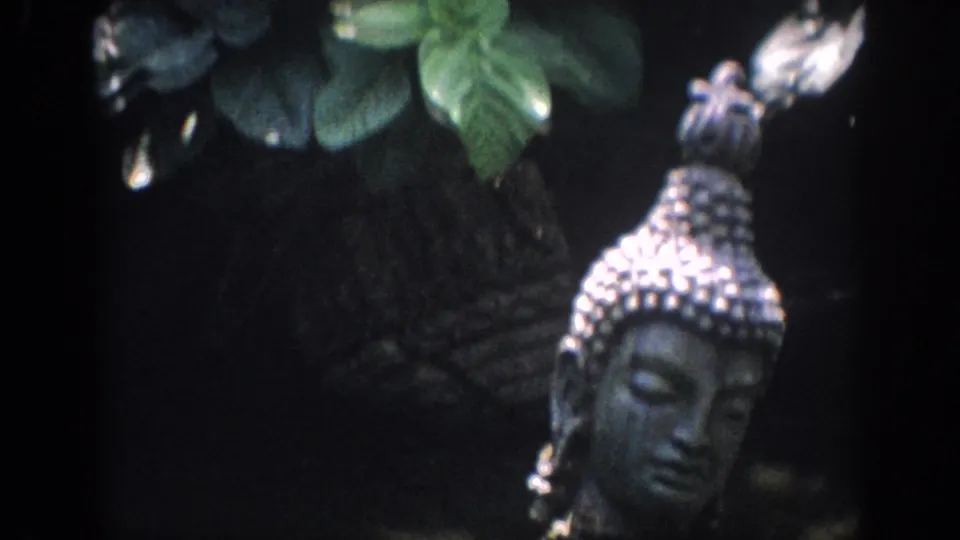 1962 Anaheim home-movie frame showing a Buddha-style statue head partly framed by leaves and deep shadow.