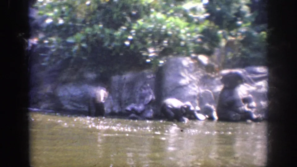 1962 Anaheim home-movie view of lagoon water beside rocks, plants, and a small waterfall or water spray.