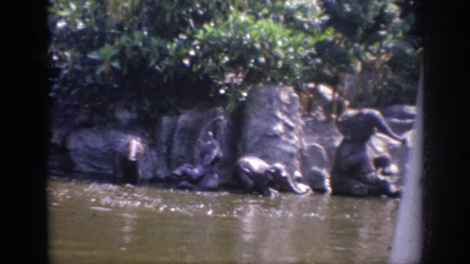 1962 Anaheim frame showing calm lagoon water, rockwork, leafy planting, and a small water feature along the edge.