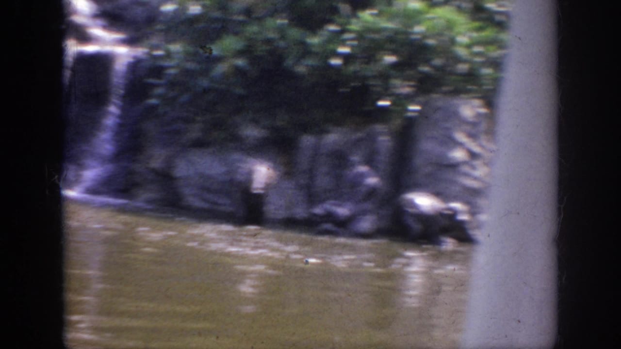 1962 Anaheim home-movie view of a distant landscaped waterfall and rockwork across rippling water.