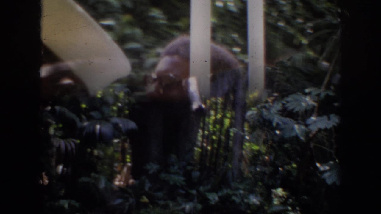 A bearded man in a dark area near white railings and thick foliage.