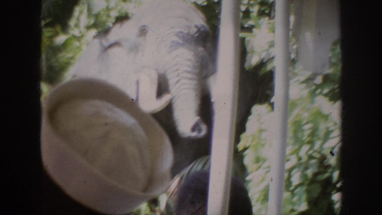 A large elephant figure appears beyond a straw hat and vehicle post in the 1962 Anaheim theme-park footage.