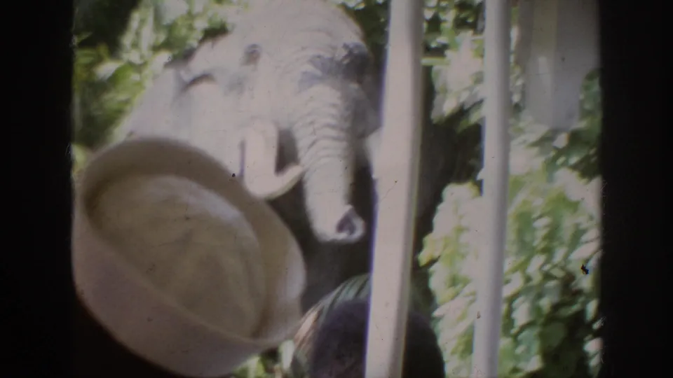 A large elephant figure appears beyond a straw hat and vehicle post in the 1962 Anaheim theme-park footage.