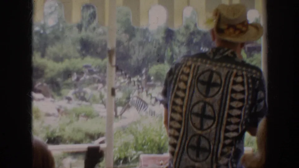 Vacationer in a straw hat and patterned shirt faces away inside an Anaheim tour vehicle, with landscaped animal scenery outside.