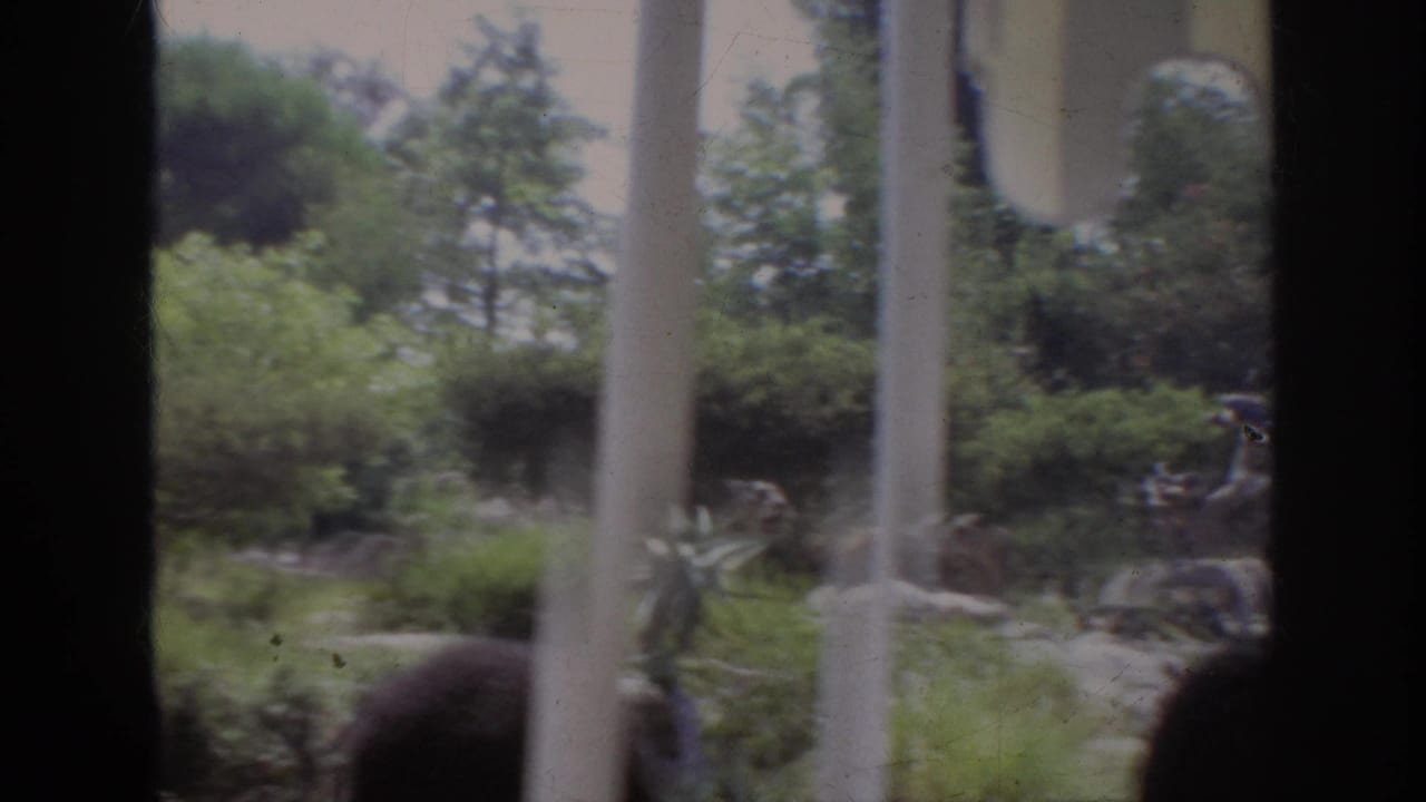 Blurred bus-window view of shrubs, rocks, trees, and a passenger silhouette at the right edge.