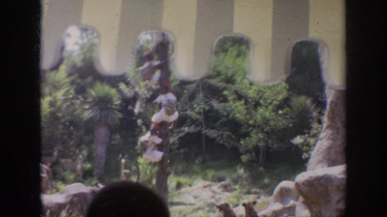 1962 Anaheim home-movie view through a barrier toward a lush themed animal enclosure with rocks, plants, and a partially obscured viewing foreground.