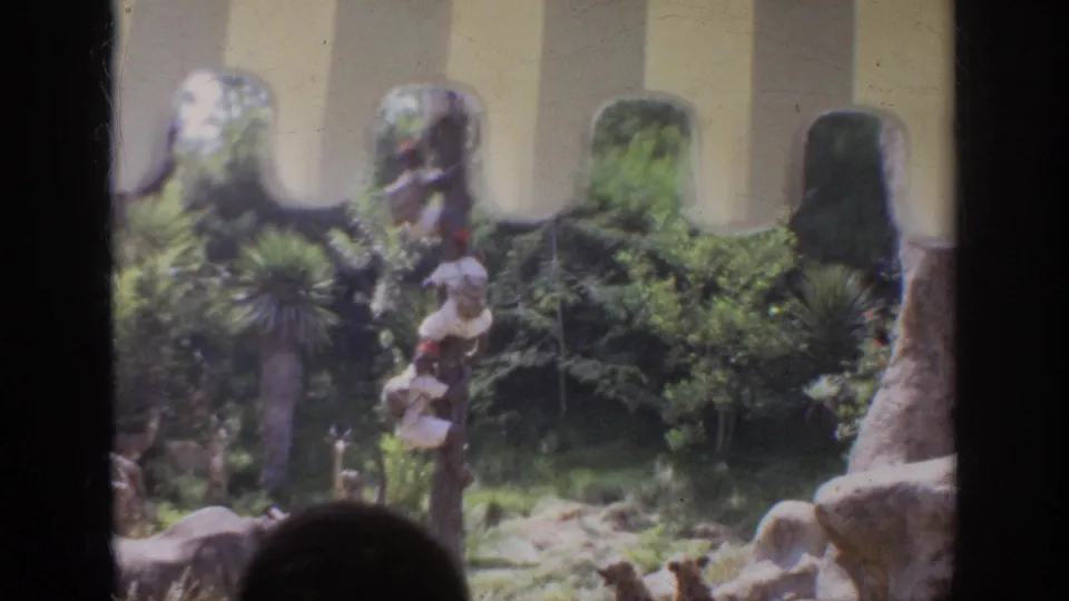 1962 Anaheim home-movie view through a barrier toward a lush themed animal enclosure with rocks, plants, and a partially obscured viewing foreground.