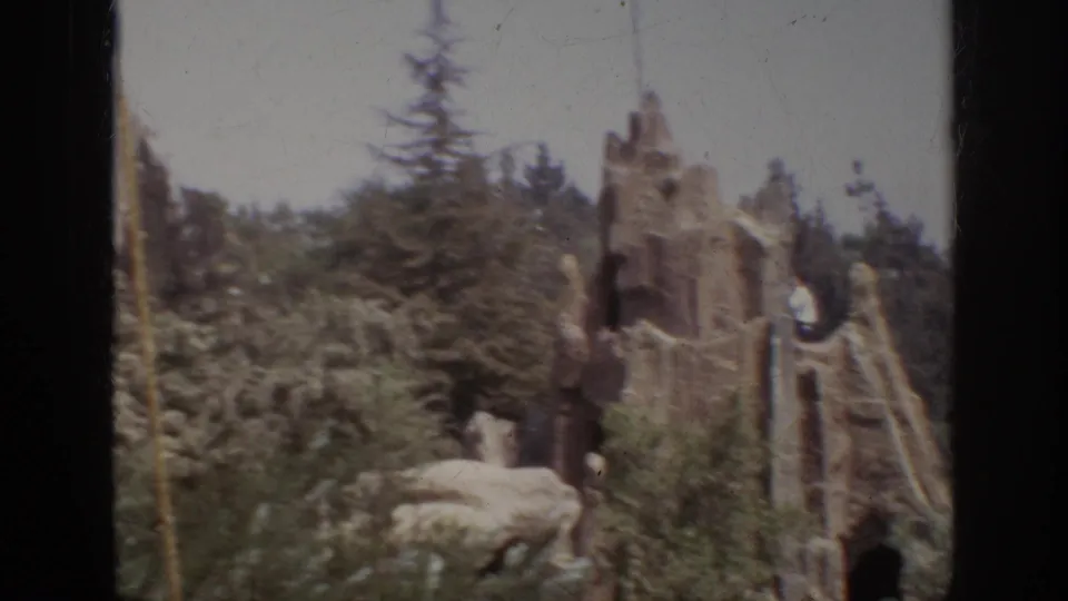 A worker stands on or beside a stone-like themed structure in Anaheim, with dense greenery behind the rockwork.