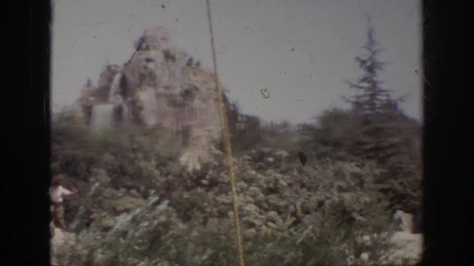 Soft 8mm frame of Anaheim artificial rockwork partly obscured by trees, with a person visible near the lower edge.