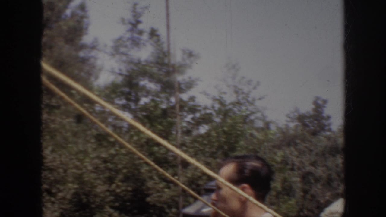 Man in profile near ropes with trees and attraction scenery behind him.