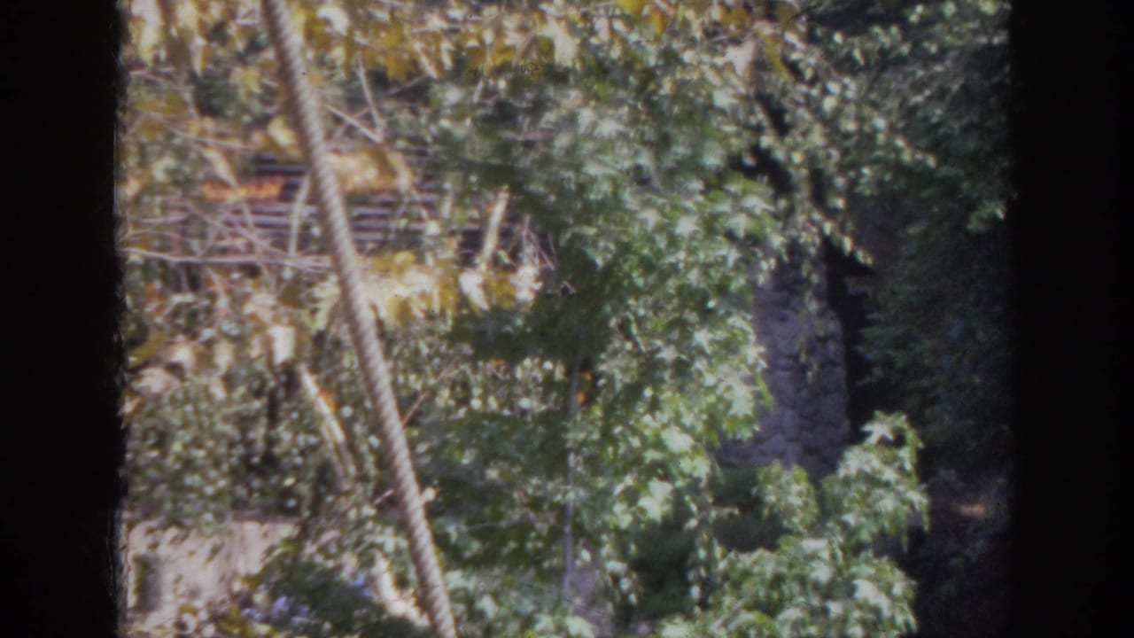 1962 Anaheim home-movie frame with trees and branches obscuring a rustic log-topped stone structure.