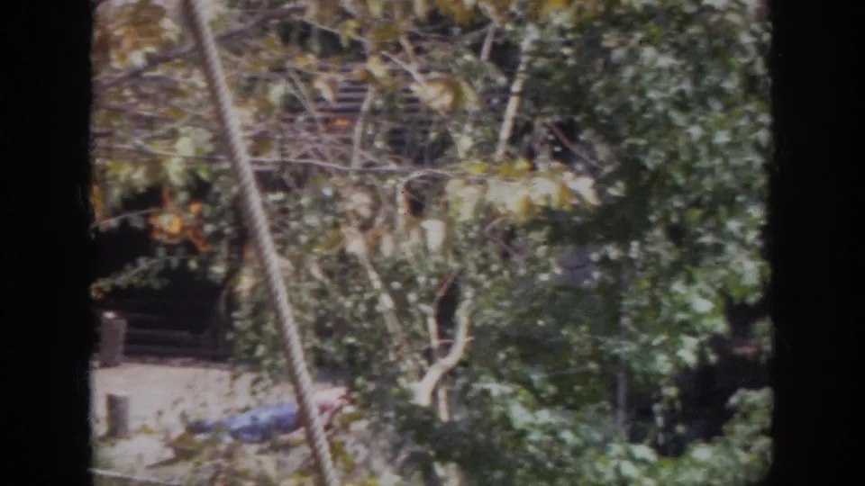 1962 Anaheim 8mm frame showing a leafy clearing, rustic logwork, and sunlit ground through branches.