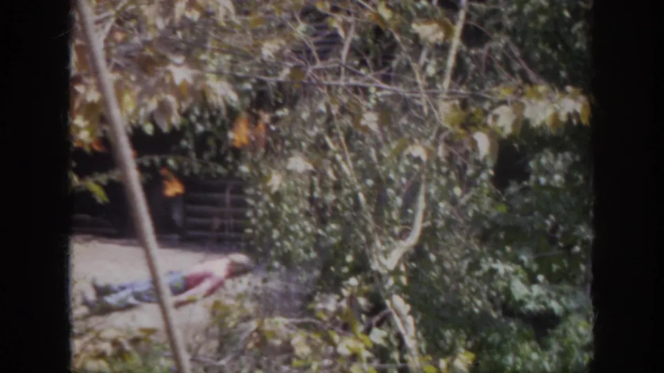 1962 Anaheim frame with dense foliage and a distant person reclining on sunlit ground near the rustic structure.