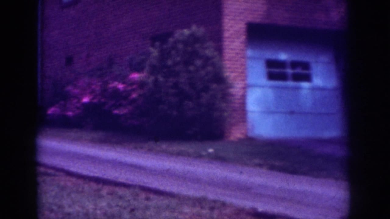 1962 Raleigh residential exterior with a driveway, brick house, pale garage door, lawn, and flowering azalea-like shrubs.
