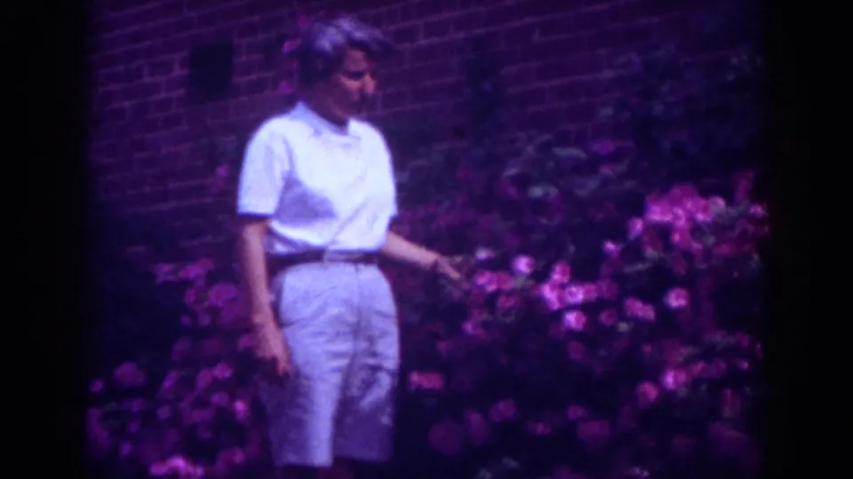 Adult woman in light summer clothing touches pink flowers in a Raleigh garden scene from 1962 home-movie footage.