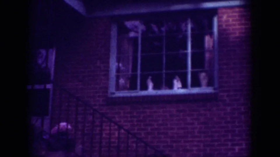 Pink blossoms frame the top of a Raleigh 1962 home-movie shot, with a brick house exterior and multi-pane window below.