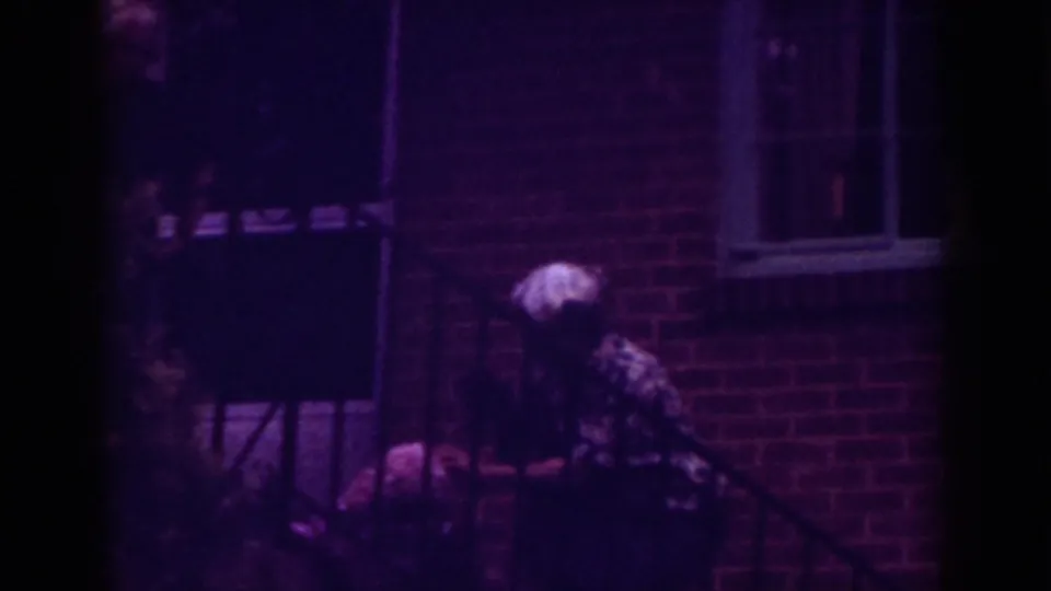 In Raleigh 1962 home-movie footage, an older woman with white hair leans on outdoor steps near a brick wall and railing with a small dark pet.