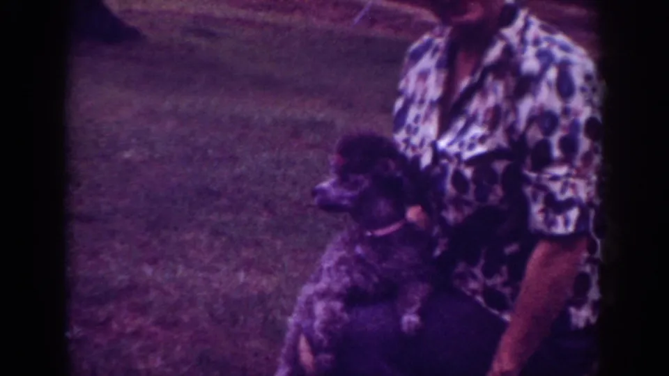 1962 Raleigh home-movie frame showing a dark poodle near a partly visible adult in a patterned short-sleeve shirt on grass.