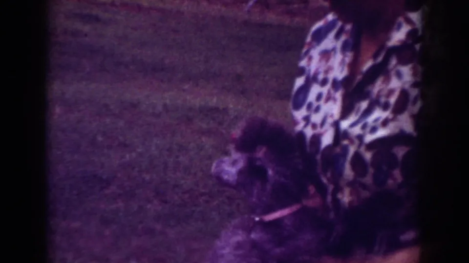 1962 Raleigh 8mm frame with a dark poodle in profile next to a partly visible adult wearing a bold patterned shirt.