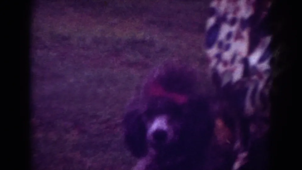 Soft 8mm frame from Raleigh in 1962 showing the poodle closer to camera, with the owner partly visible above and beside it.