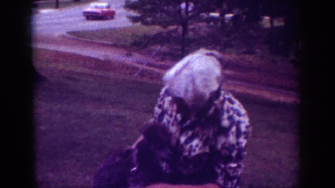 A woman bends over a small dark dog near a roadside in Raleigh, with a red car passing in the background.