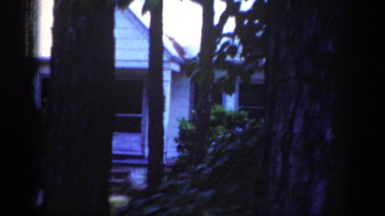 1962 Raleigh frame with the house exterior mostly blocked by dark tree trunks and leafy vegetation.