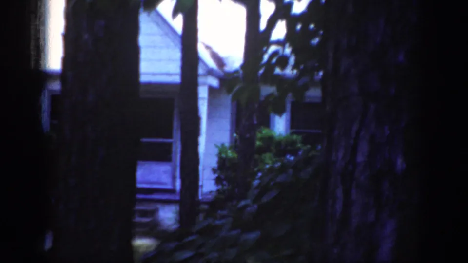 1962 Raleigh frame with the house exterior mostly blocked by dark tree trunks and leafy vegetation.