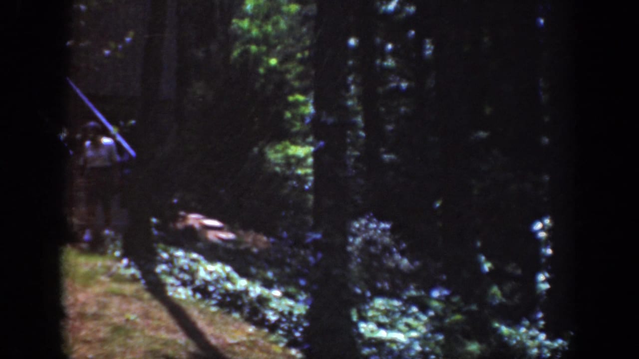A hiker appears on a shaded Raleigh forest path in 1962 home-movie footage, partly obscured by trees and deep shadow.