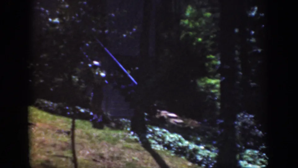 The hiker moves through a shaded woodland in Raleigh, with a narrow path, tree trunks, and strong 8mm color shift visible.