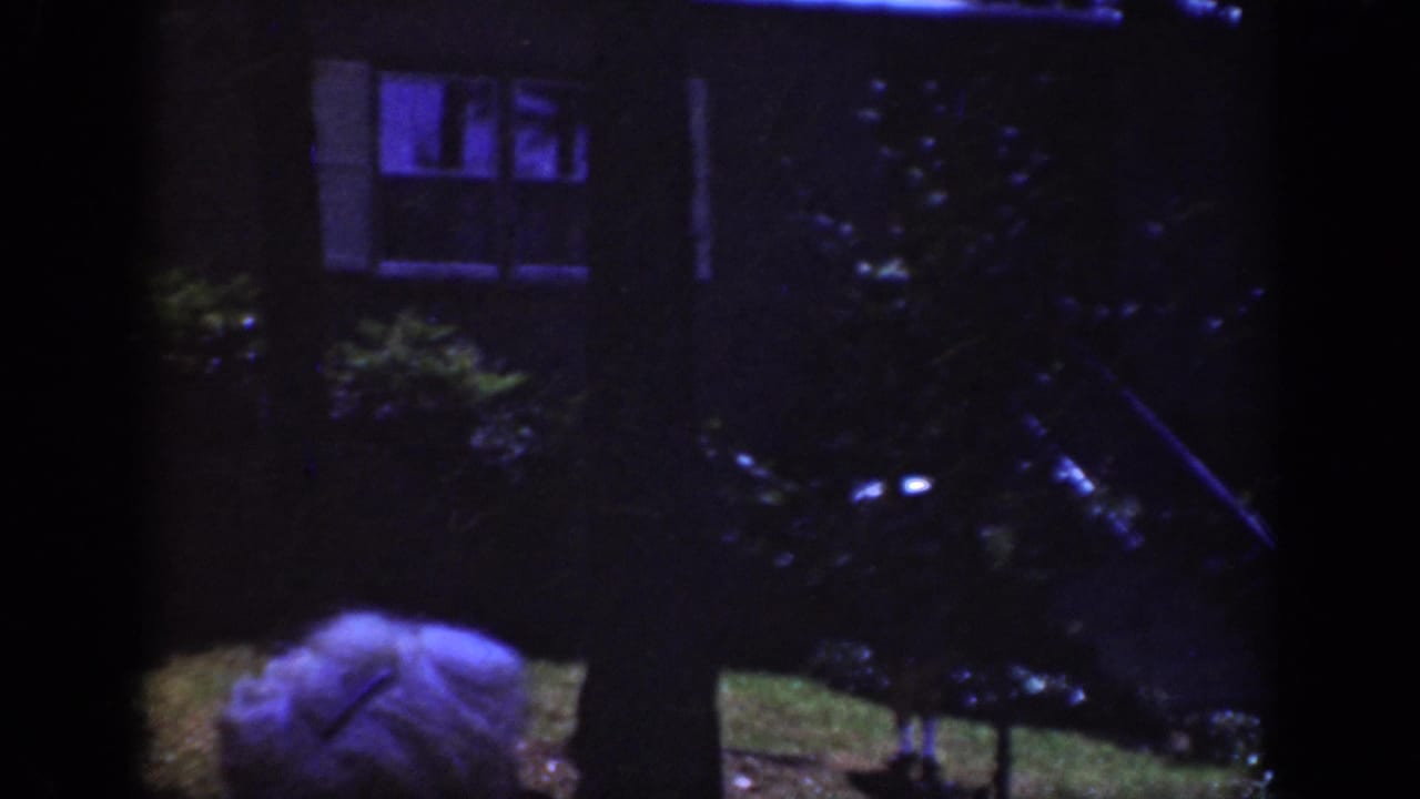 Dark exterior with house windows, trees, shrubs, and the top of a light-colored hat near the lower center.