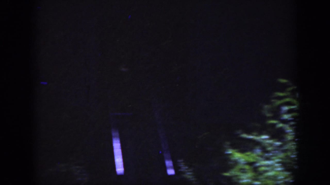 Low-light 8mm frame from Raleigh showing a dark residential backdrop with faint structural lines and foliage.