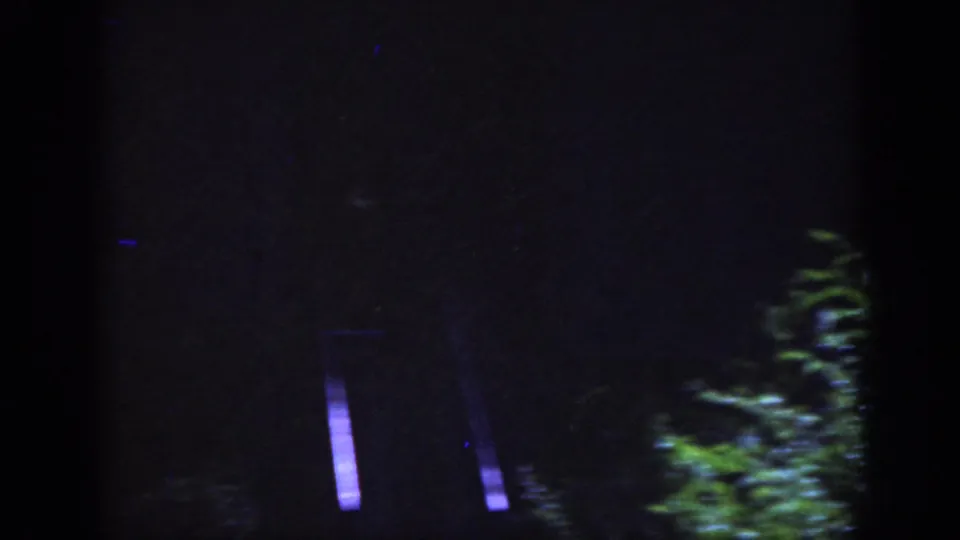 Low-light 8mm frame from Raleigh showing a dark residential backdrop with faint structural lines and foliage.