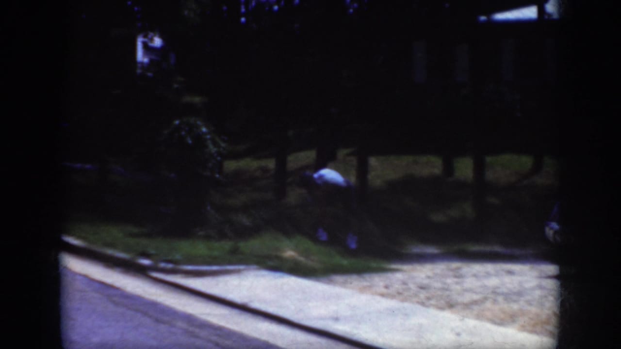 Distant person bending over a lawn beside a curved curb and shaded trees.