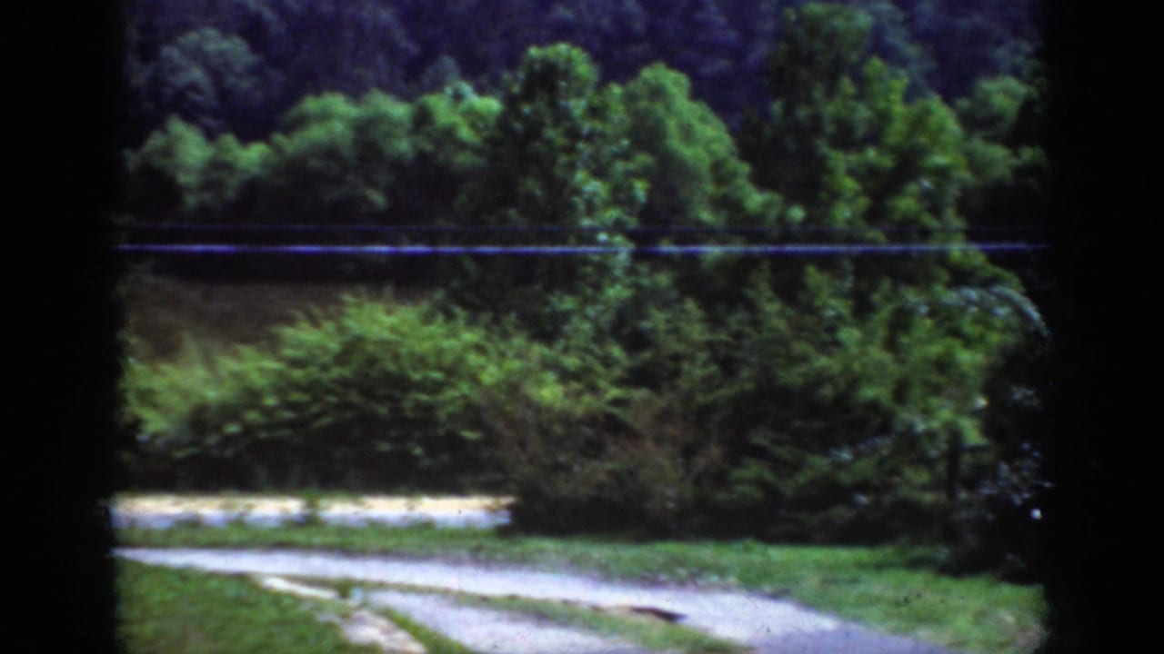 1962 Raleigh-area 8mm frame showing a pale winding road bordered by green grass, dense brush, trees, and a power line.