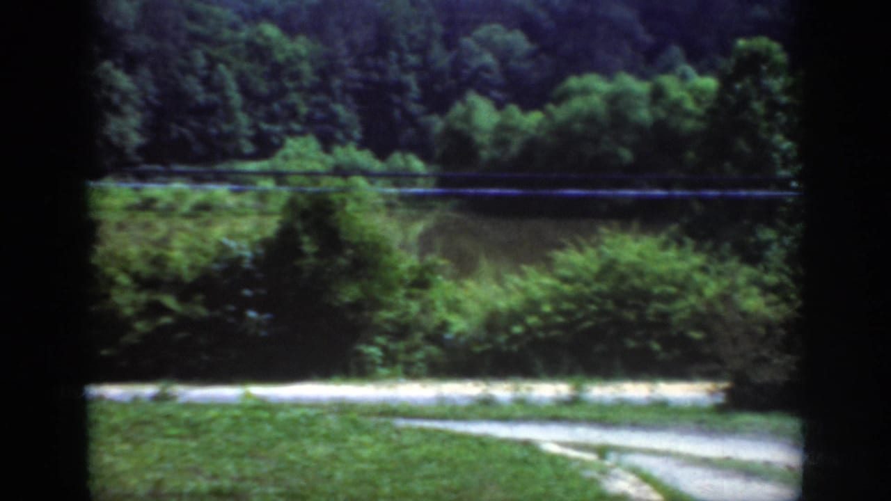 1962 Raleigh-area countryside view from a moving vehicle, with a curving road, grassy shoulder, trees, and a horizontal utility line.