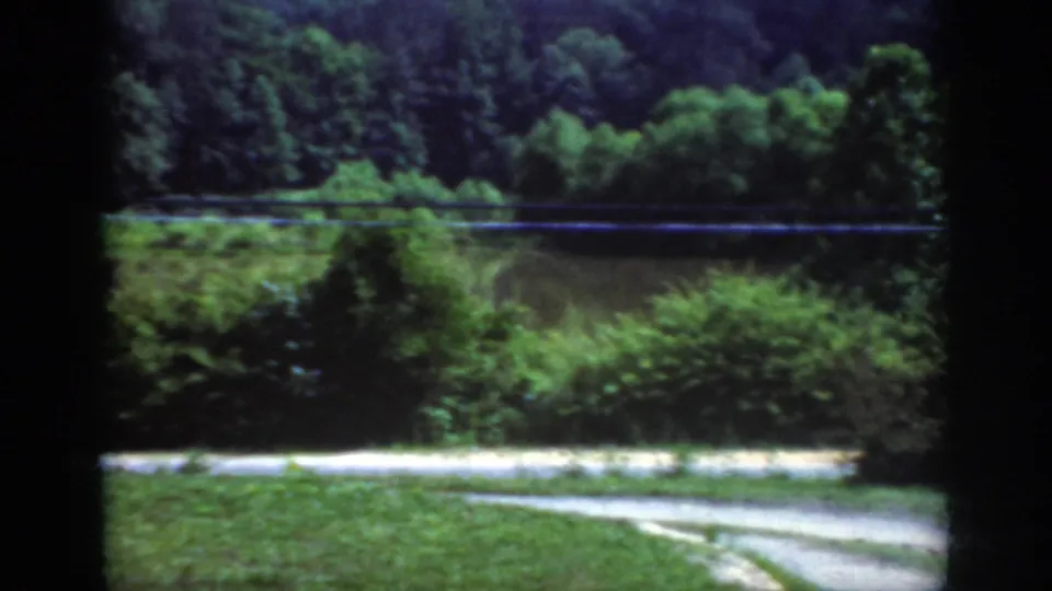 1962 Raleigh-area countryside view from a moving vehicle, with a curving road, grassy shoulder, trees, and a horizontal utility line.