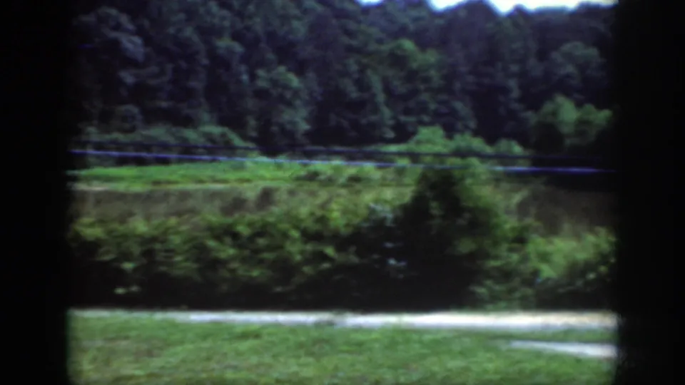 Moving 8mm view near Raleigh in 1962, with roadside grass, brush, dense trees, a pale road edge, and a power line.