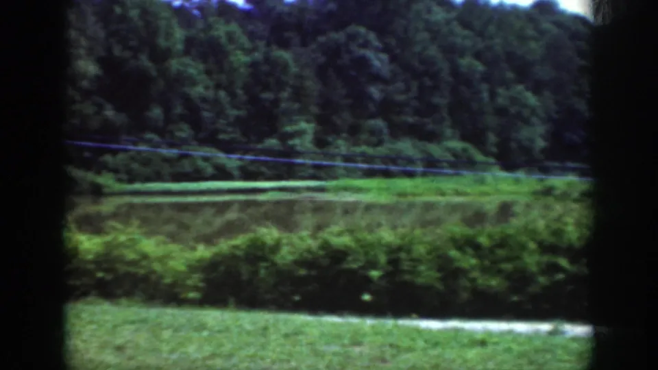 1962 Raleigh-area rural landscape frame showing grass, brush, dense trees, and a power line, with no visible people or buildings.