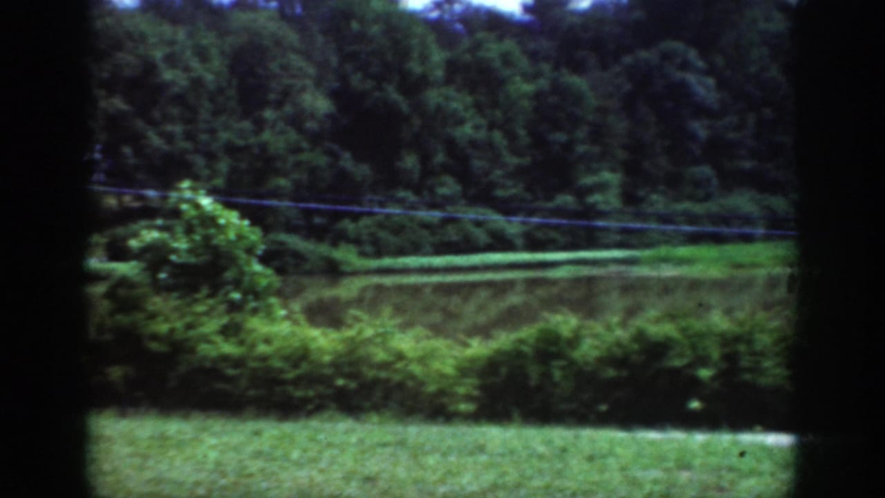 1962 Raleigh home-movie frame showing grass, shrubs, trees, and overhead lines viewed through a dark window frame.