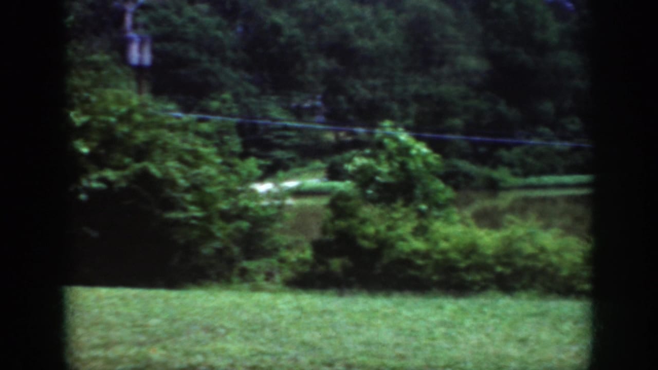 A Raleigh-area 1962 8mm view through a window toward a mown lawn, leafy shrubs, trees, and power lines.