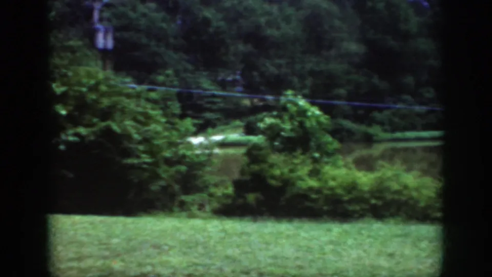 A Raleigh-area 1962 8mm view through a window toward a mown lawn, leafy shrubs, trees, and power lines.