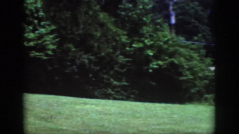 The 8mm frame shows the lower part of the window view, with grass in front and dense green shrubbery beyond.