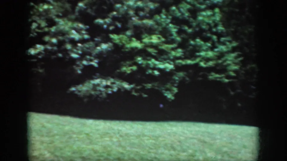 Final frame of the Raleigh 1962 clip, showing a shaded lawn edge and layered green foliage through the window.