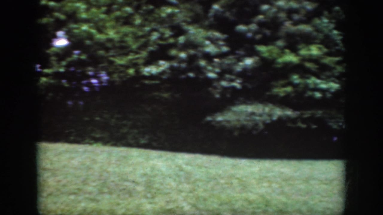 1962 Raleigh 8mm frame showing a bright grassy clearing with dense leafy woods in the background.