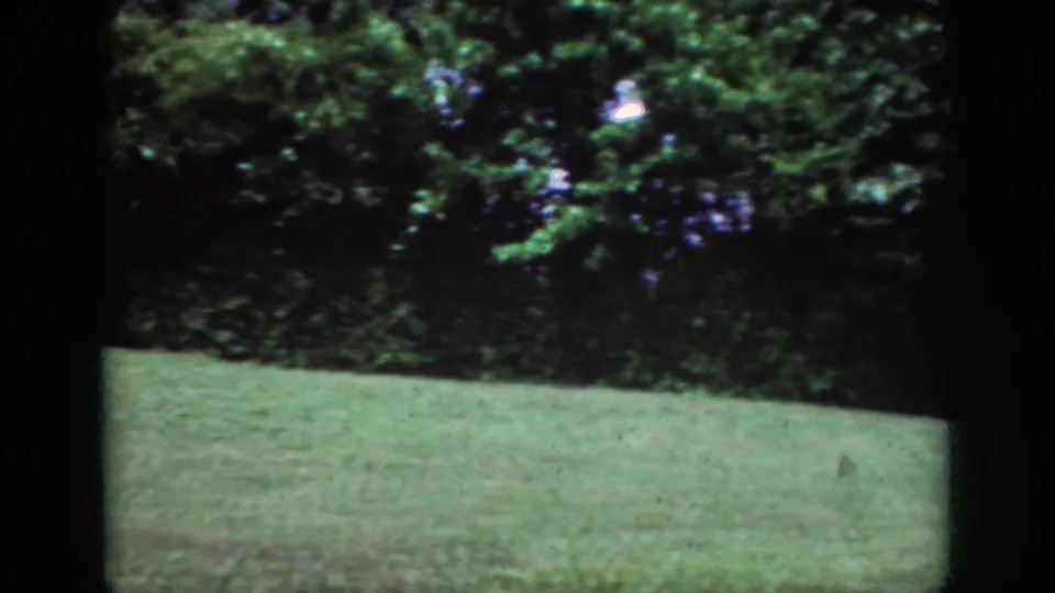 1962 Raleigh 8mm frame with open mown grass and a wooded backdrop under mottled sunlight.
