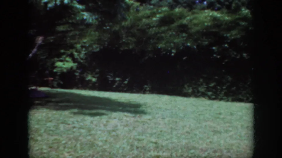1962 Raleigh 8mm frame showing a lawn bordered by dark green woods, with foliage filling the upper frame.
